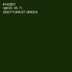 #162B07 - Deep Forest Green Color Image